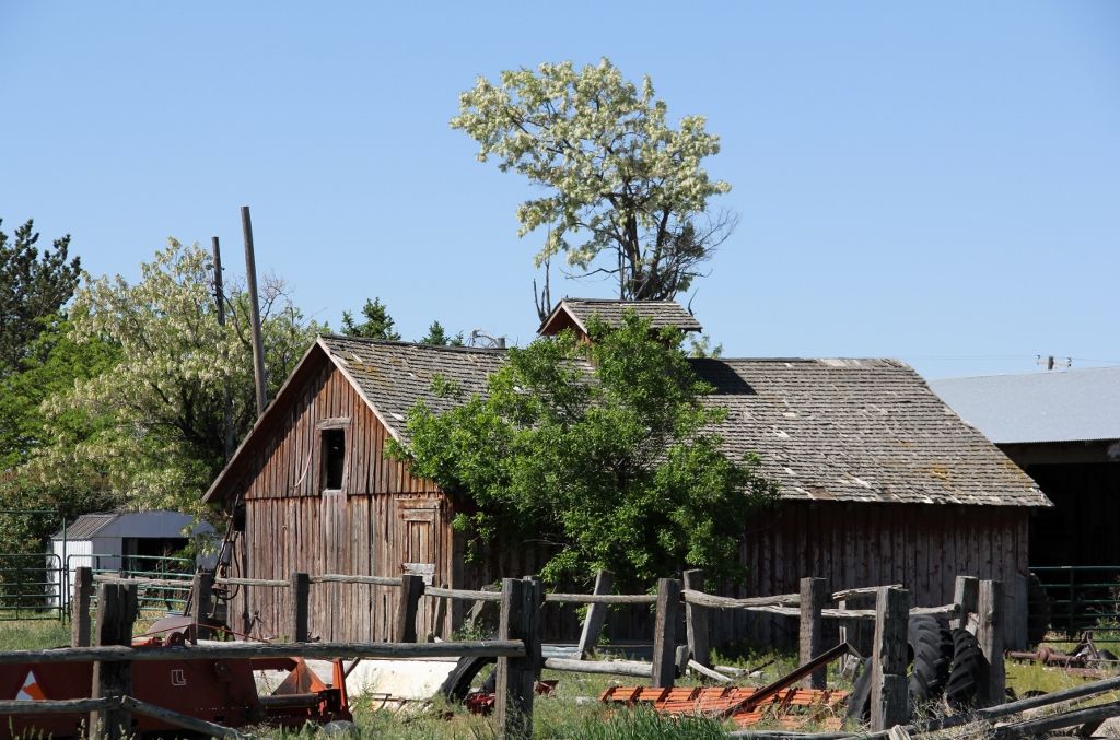 Barn